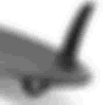 DUOTONE-Windsurf_SS26_Fins-Technology_Blitz2