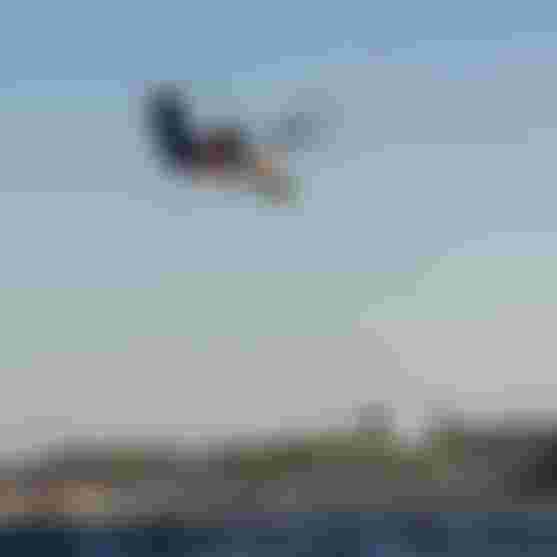 Kitesurfer Finn Flügel inverted mid-air holding board and kite bar above water, sandy beach with palm trees and wind turbines in the background.