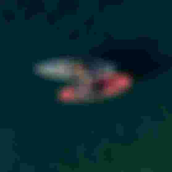 Duotone SUP shot from top on crystal clear water