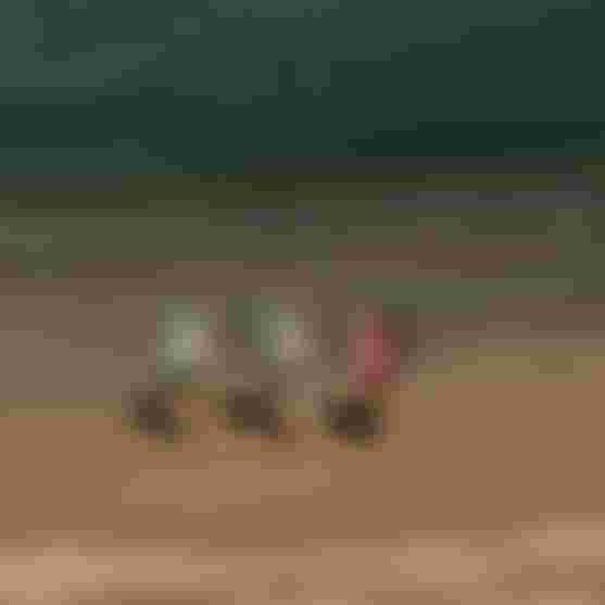 SUP Boards packed down in backpacks, easy to carry