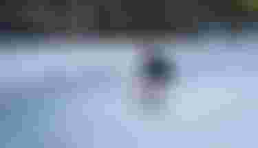 42250-3833_Whizz_Chase_Heavener_JeffreySpencer_DSC02283 5