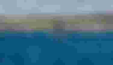 42250-3662_FinnSpencer_DownwinderSlim25Duotone_Maui_by-JohnCarter_D3_D2_7989