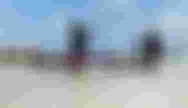 Finn and Jeffrey Spencer walking with DownwinderSlimSLS SS26 in Guadeloupe in water