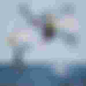 489859303_18058002419325834_126948406976026541_n