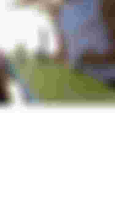 Mobile_Fins