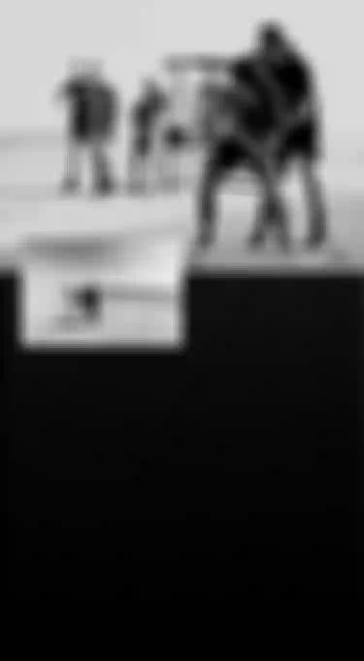 Duotone-Kiteboarding-young-blood-golden-ticket-1280 x 2320 Website mobile