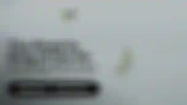 duotone-kiteboarding-ep2-road-to-KOTA-principi