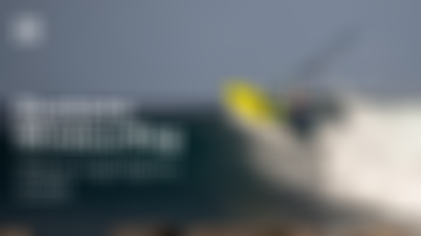 thumbnail_wavehighlights