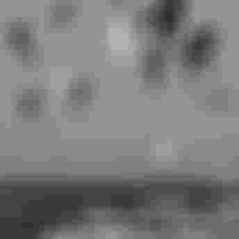 Kite_brandstory_home