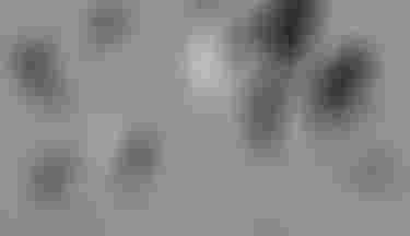 Kite_brandstory_home