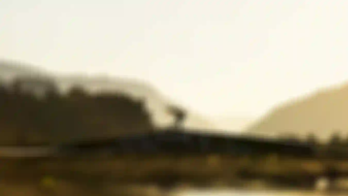 206A3826