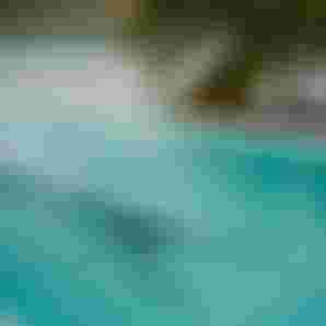 DSC07810