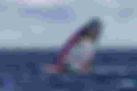 DTW25_IFCA_WORLDS_DAMLA