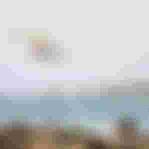 duotone