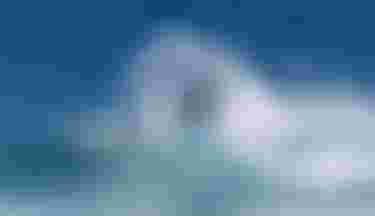 DTW_header-teaser_small_boards