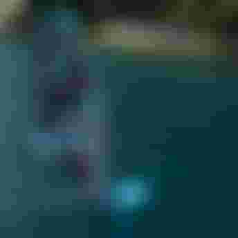 DUOTONE-Windsurf_2024_Eagle_One_Gallery27