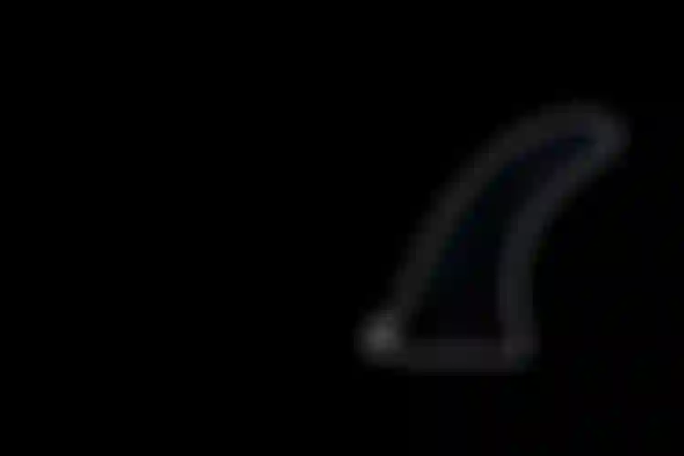 PLP_teaser_fins