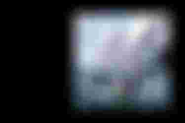 DTW_header_teaser_black_boards_freeride-freerace_tiltshift