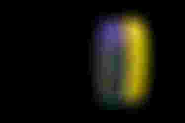 tileteaser_small-Stingray