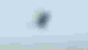 ZoeSchoenwetter_Duotone