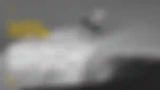 Duotone_Windsurf_SS24_Video_Super_Hero_SLS