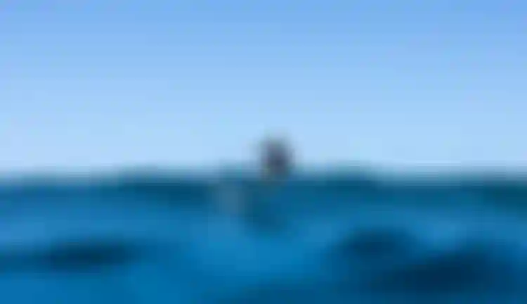 Leo Etienne surfing on a wave