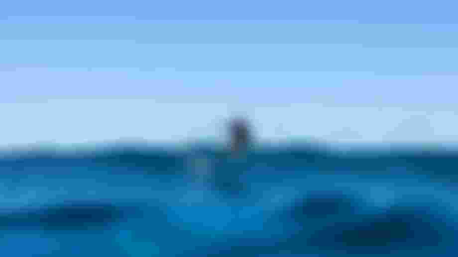 Leo Etienne surfing on a wave