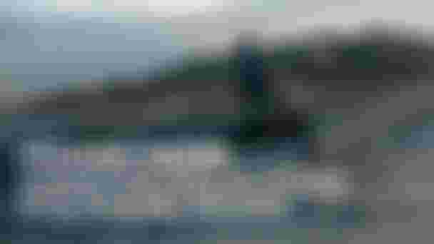 DTF_2025_Brazil_Video