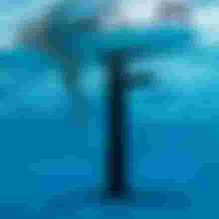 Midfish with Foil Assist AL