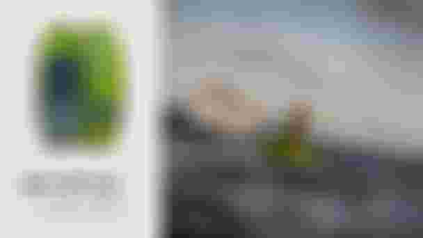 DTF25_Sky_Style_Video