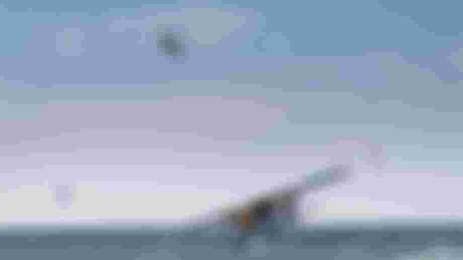 SI202501160688