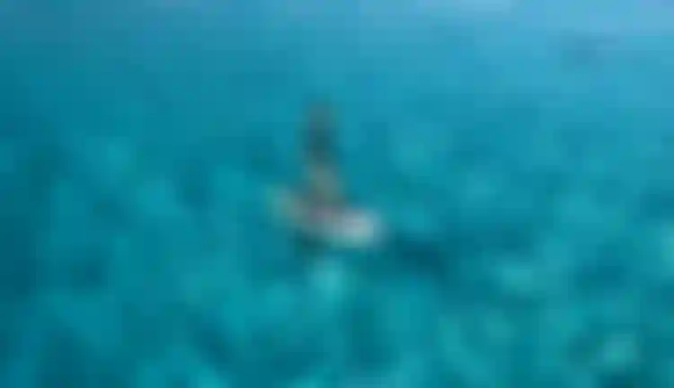 Melissa cruising on flat water with the Foil Cruise