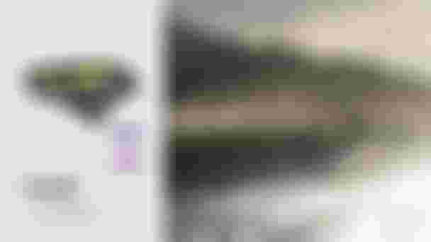 DTF25_Float_Video