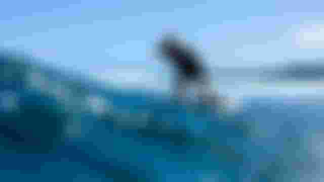 Leo Etienne foiling on a wave