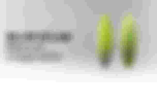 duotone_kiteboarding_blur_dlab_2025