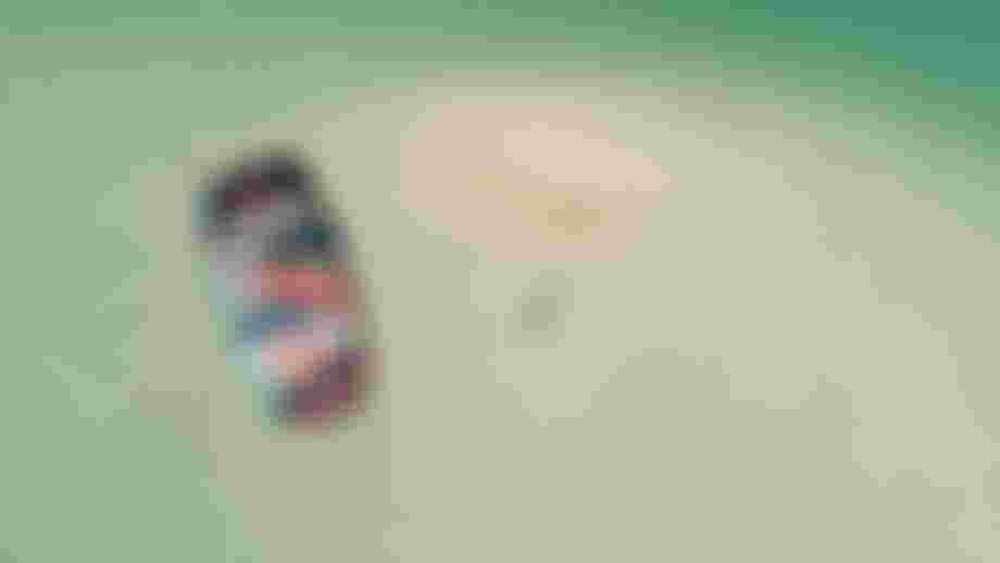 DTK-Duotone-EvoSLS-RenoRomeu-202