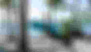 Mo Chauvin pulling the Foil Assist Gearbag