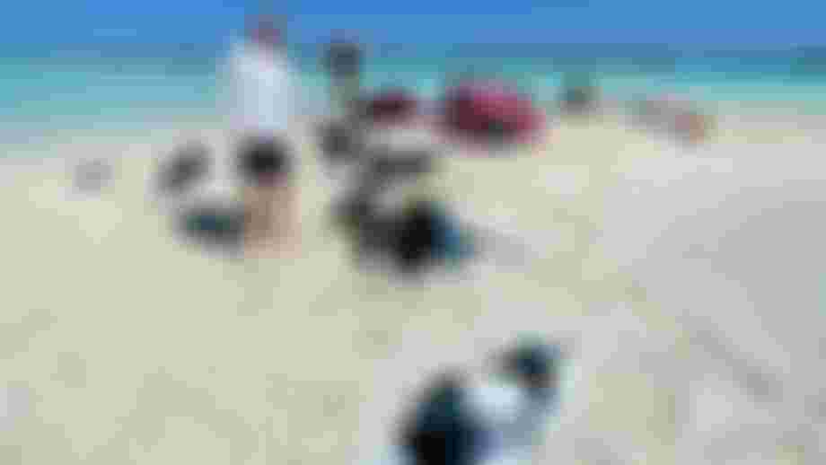 sandbar