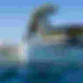 Young Blood 2024 Toby Bromwich-1473