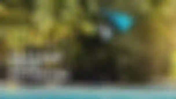 DTF24_Video_Sty_Style