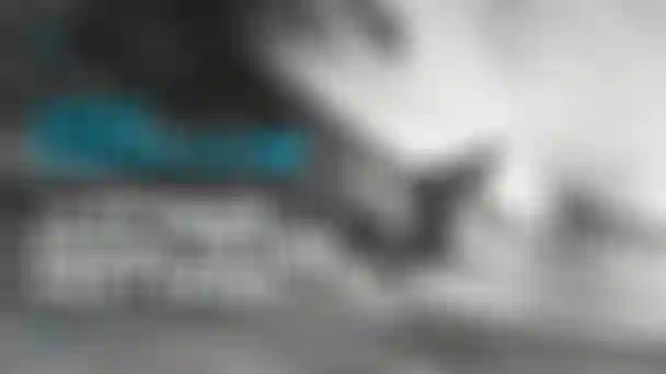 DTF24_Video_Aero_Carve_2