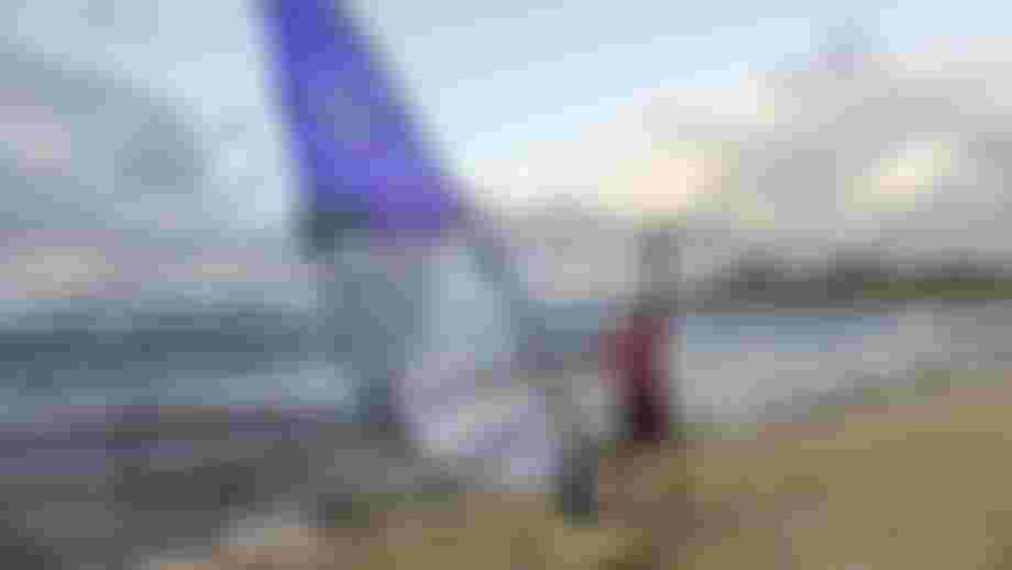 _Z729714-Fish-Bowl-Diaries