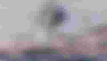 Lars_Pozo