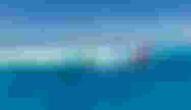 Aerial view of multiple colorful kites and kitesurfers riding turquoise tropical waters near a white sand reef under clear blue sky.