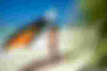 DTF-MariaBehrens_Unit26_Product_Detail_LS_Guadeloupe_Duotone_by-TobyBromwich-0432