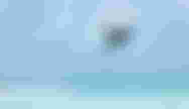 Kitesurfer performing a high aerial jump with a hydrofoil board over turquoise water near a white sand beach.