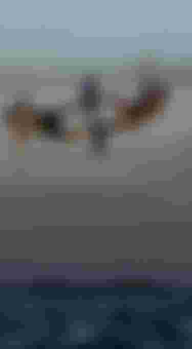 Duotone-Kiteboarding-SLS-2025-2