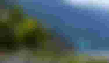 DTK-RebelD-LAB-Crusing-RenoRomeu-DylanBrown-HoodRiver-2026-TobyBromwich-1736