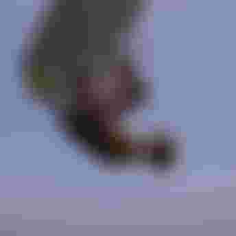 Duotone-Kiteboarding-WHIP DLAB DUOTONE-87