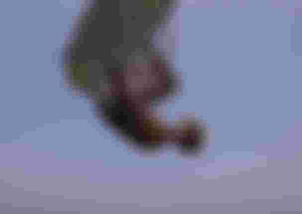 Duotone-Kiteboarding-WHIP DLAB DUOTONE-87